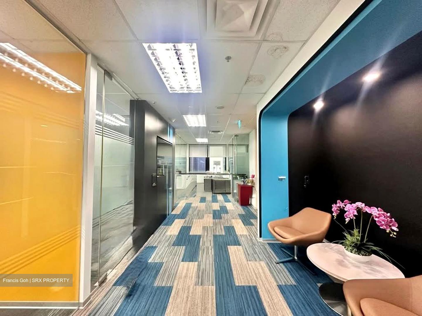 City House (D1), Office #582263301